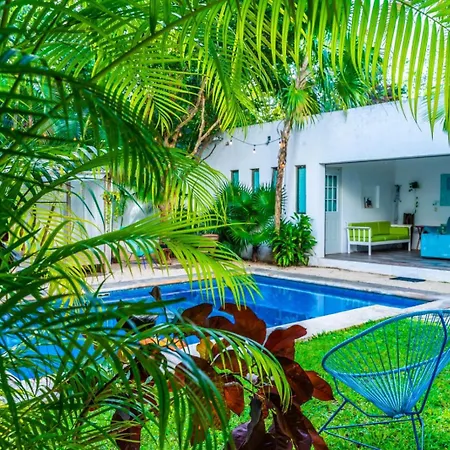 Hotel Casa Borush By Ecoplaneta